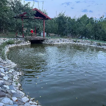 Sumski Dvor Gracanica Holiday home